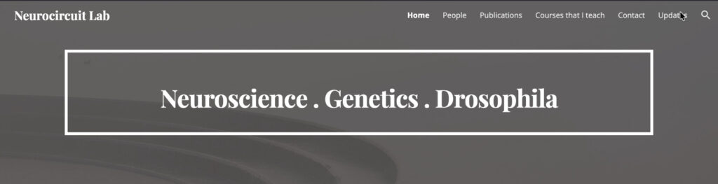 WhatsApp Image 2025-11-26 at 11.29.18