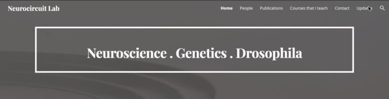 WhatsApp Image 2025-11-26 at 11.29.18