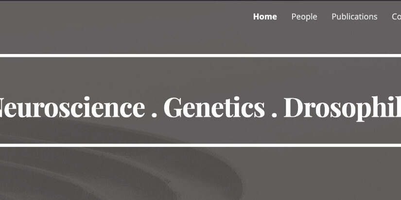 WhatsApp Image 2025-11-26 at 11.29.18