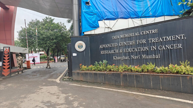 WhatsApp Image 2026-01-29 at 17.19.01