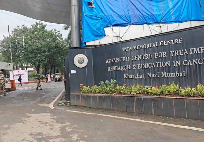 WhatsApp Image 2026-01-29 at 17.19.01