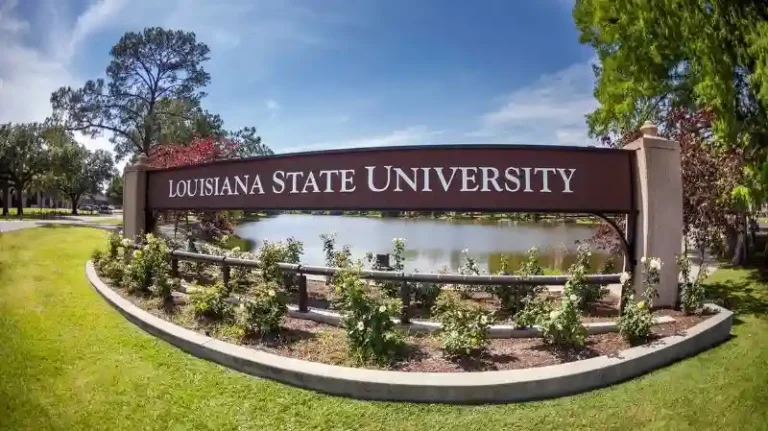 louisiana state university