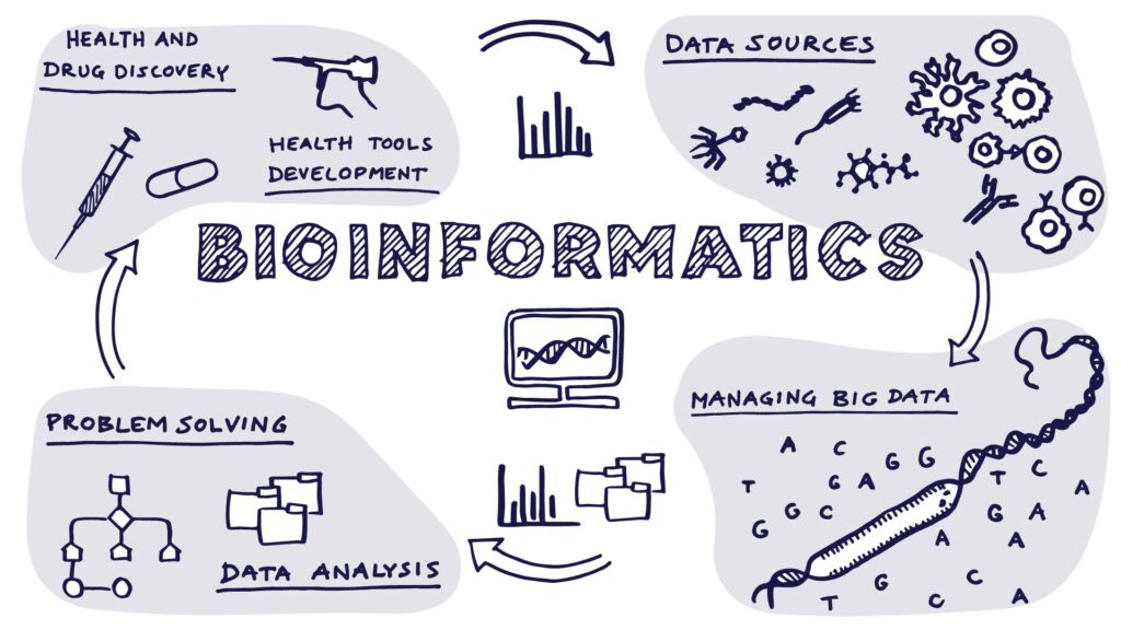bioinformatics