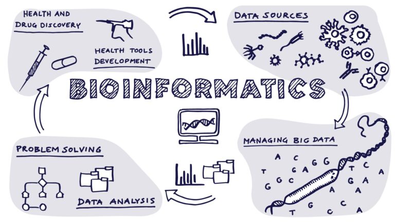 bioinformatics