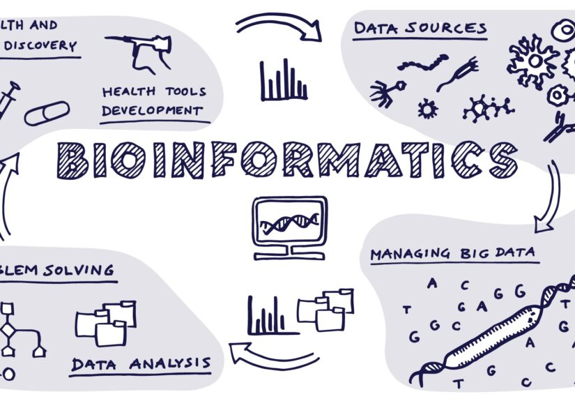 bioinformatics